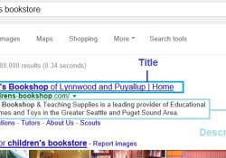 CoderSEO enhanced screenshot of a search engine query results page.